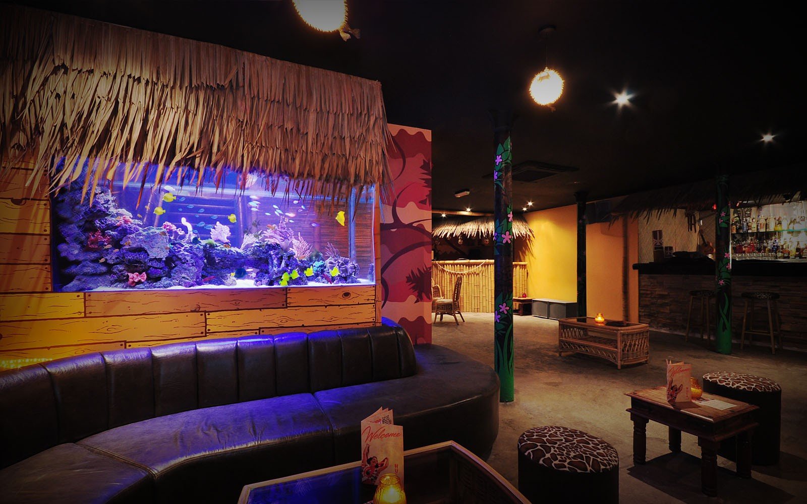 Custom Aquarium Installation in Sector 63, Gurgaon