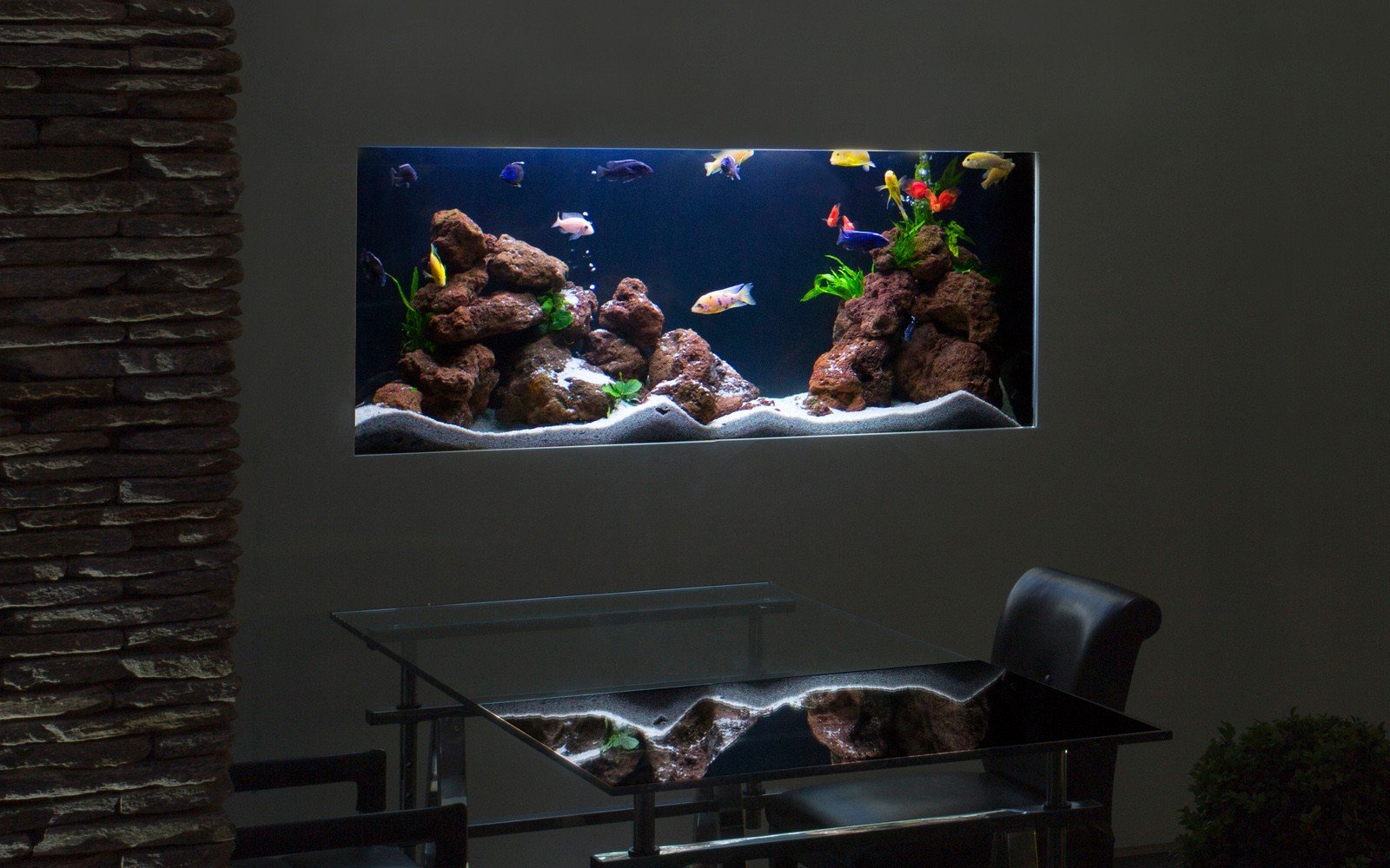 Custom Aquatic Environment in Sector 63, Gurgaon