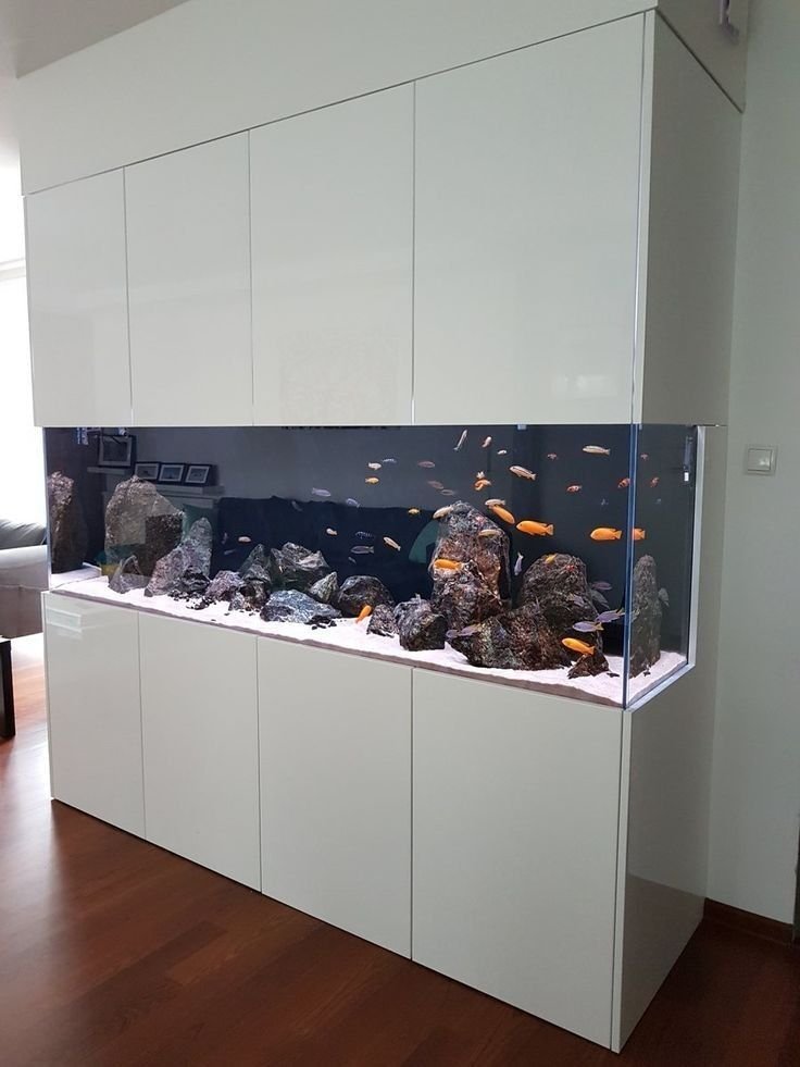 Custom Aquarium