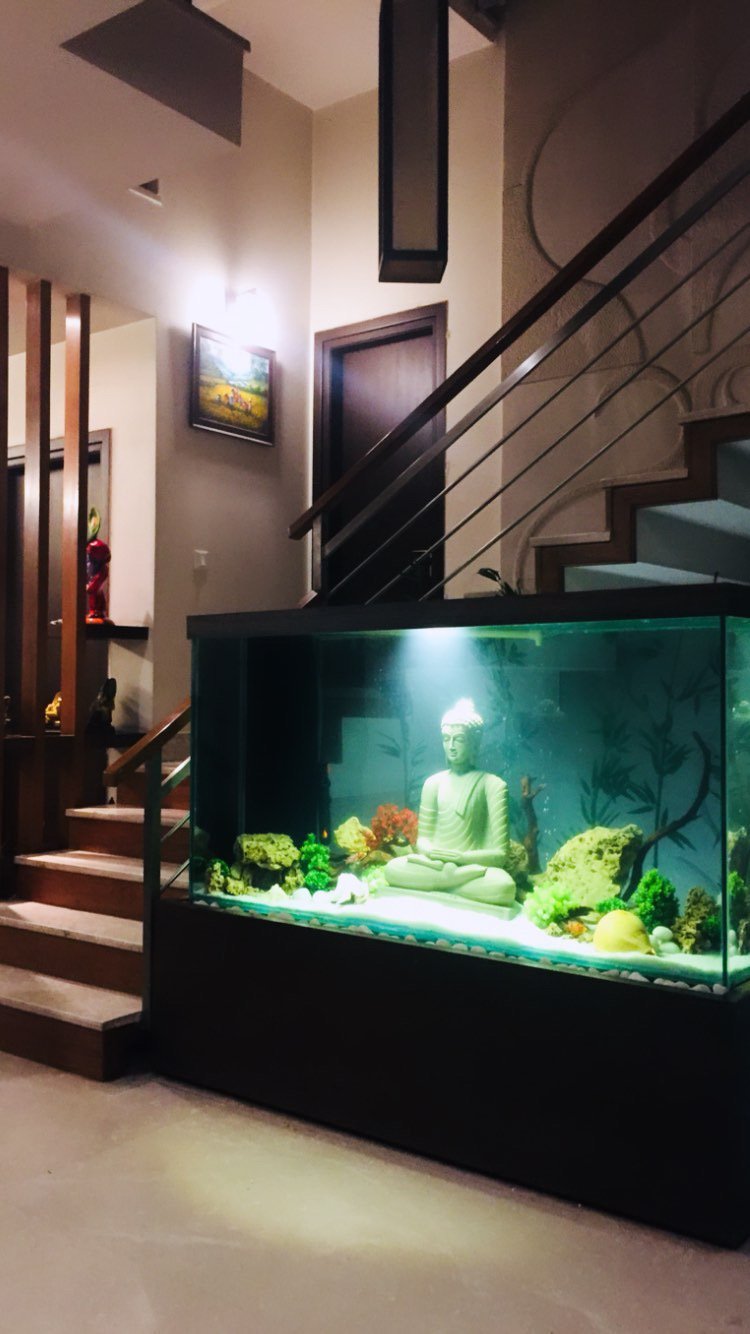 Aquarium Installation