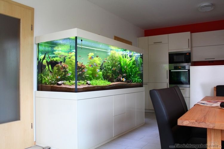 Custom Aquarium Installation in Sector 63, Gurgaon